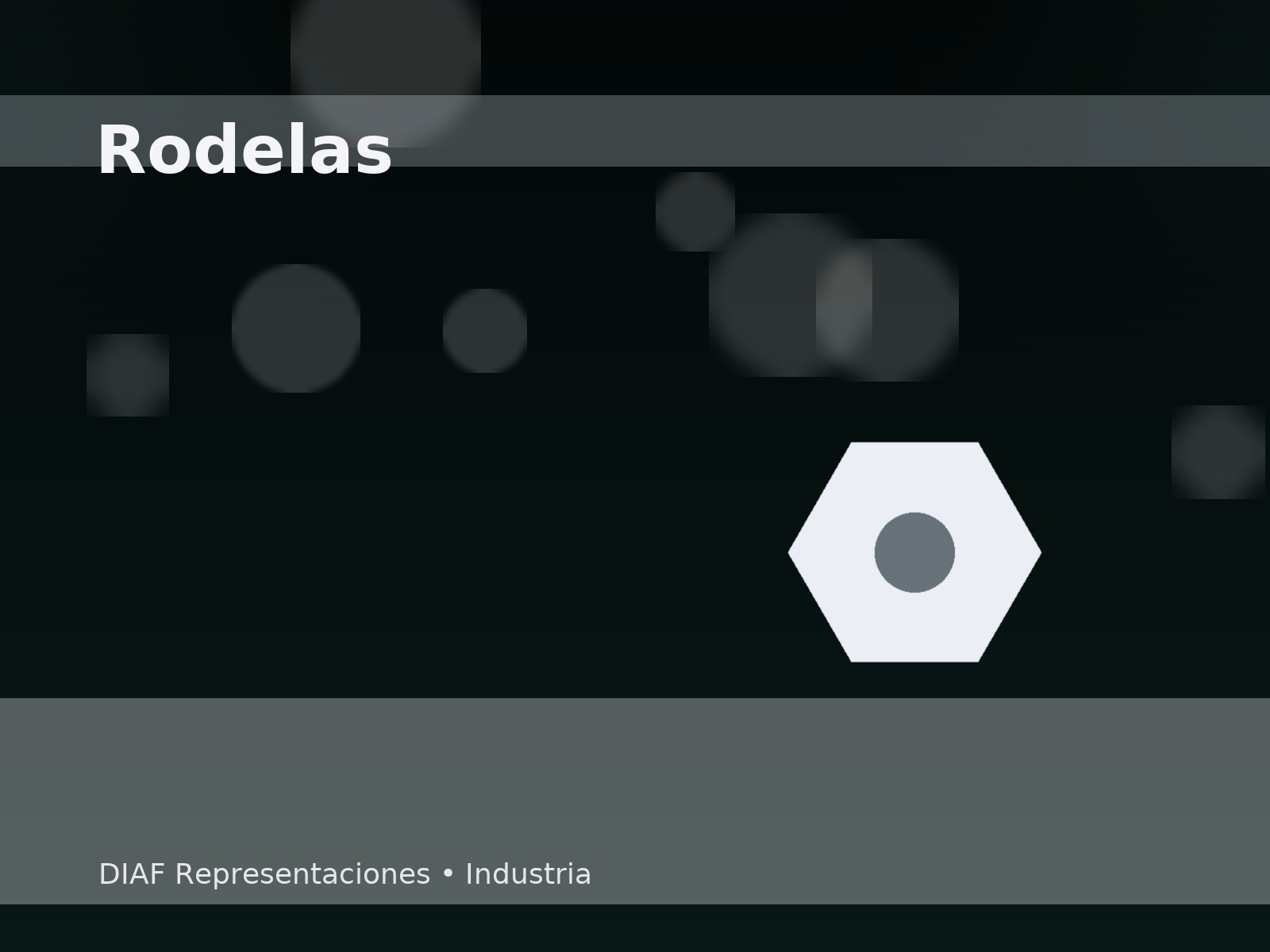 Rodelas (Varios Diámetros) - DIAF Representaciones